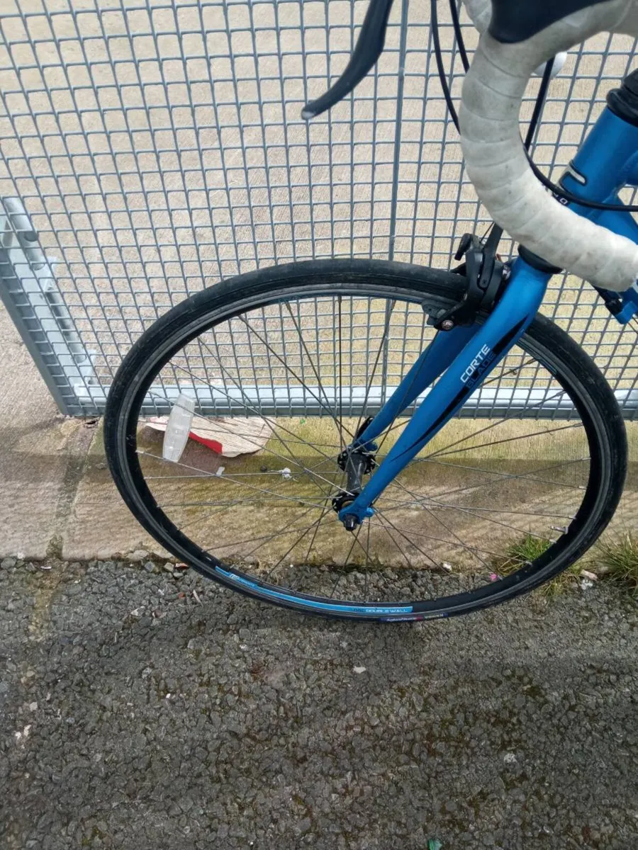 Carrera Zelos Jr - Image 2