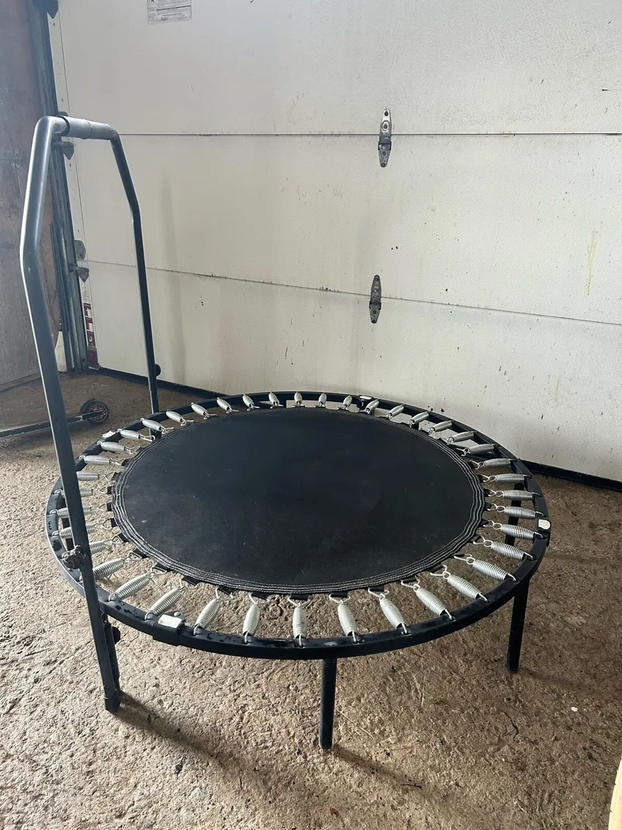 Mini trampoline - Image 1