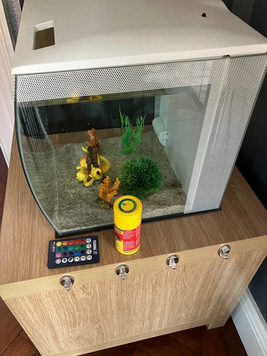 Fish Tank 34L - Image 3