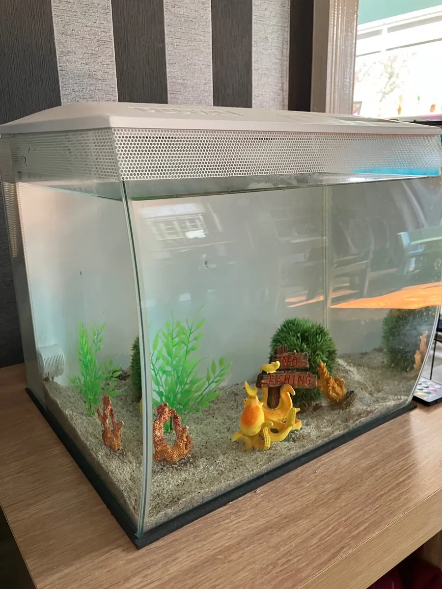 Fish Tank 34L - Image 2