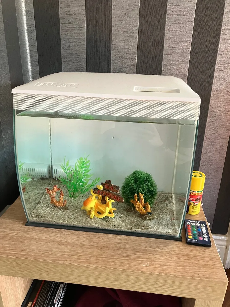 Fish Tank 34L - Image 1