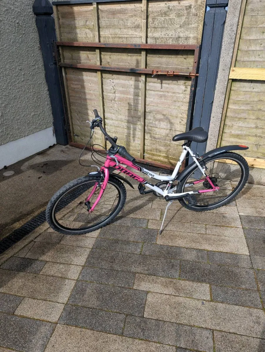 Boy and girl bikes - Image 1