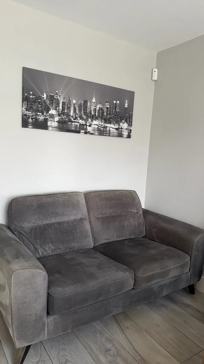 DFS 2 seater grey couch - Image 3