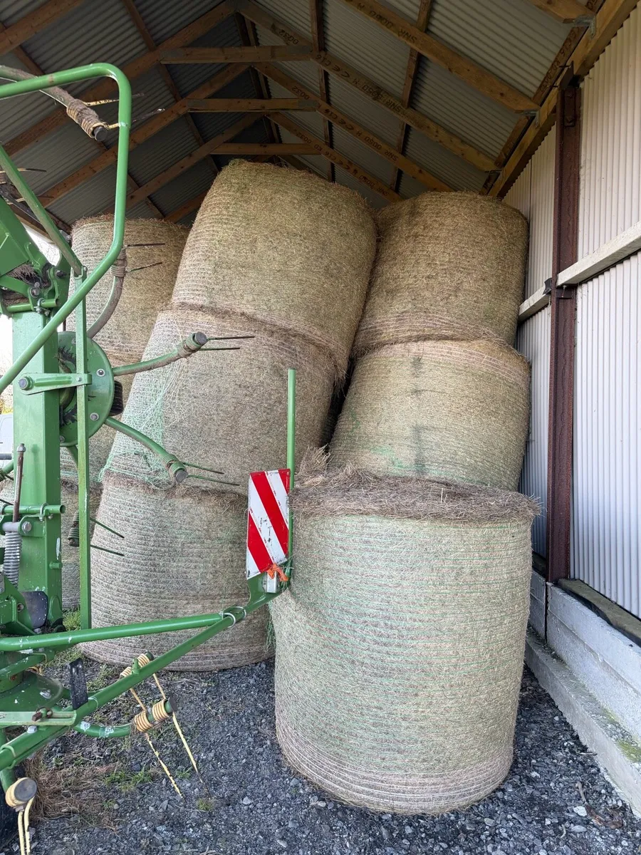 Good quality hay for sale - Image 2