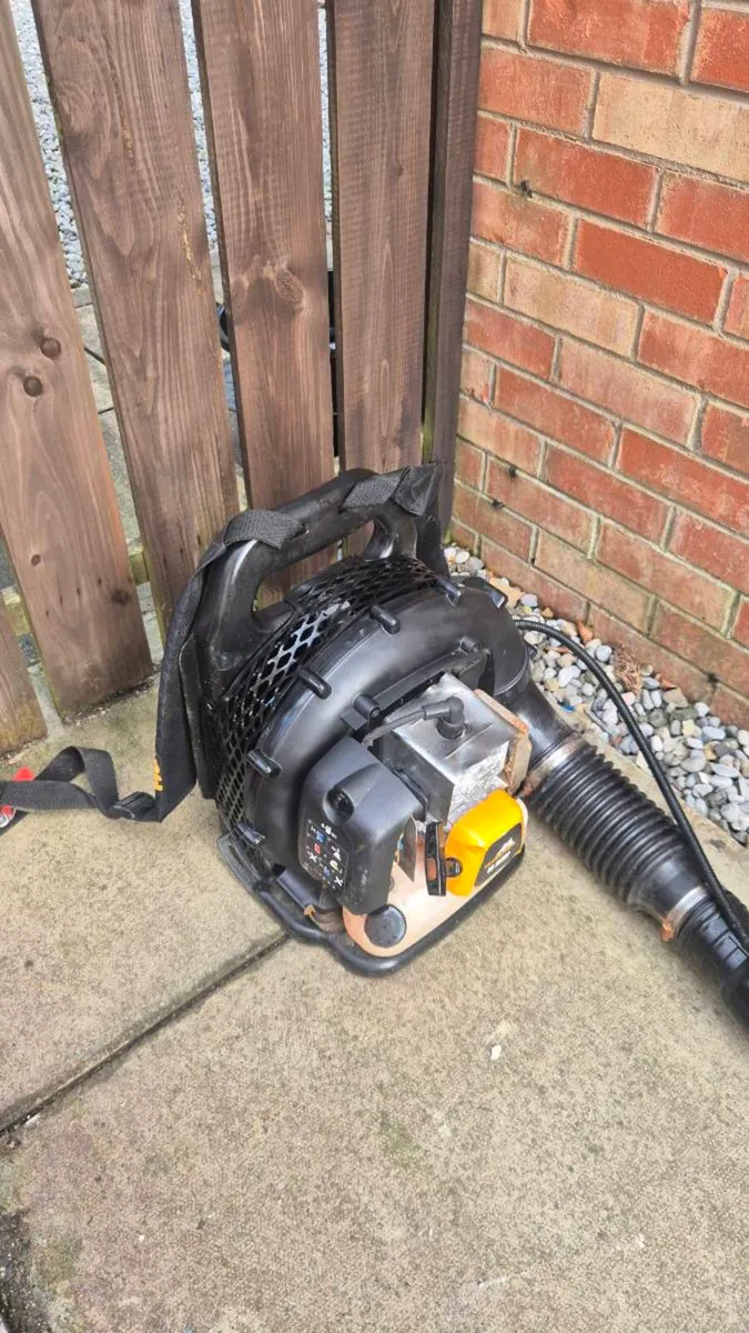 Backpack Petrol leaf blower - Image 1
