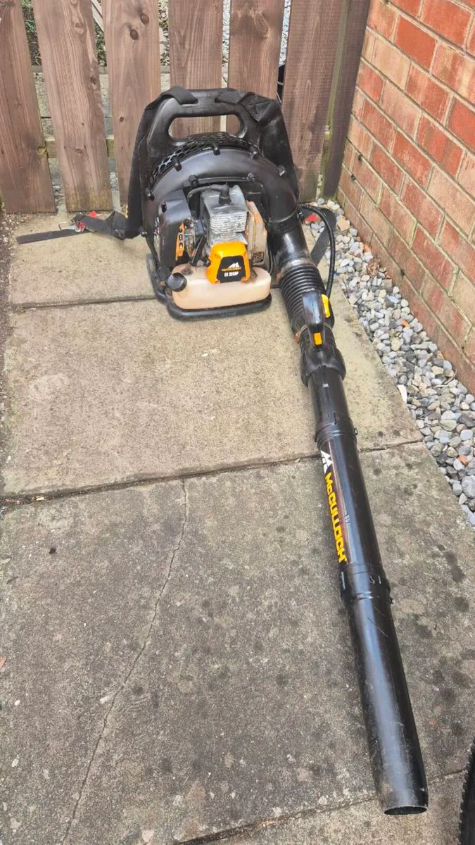 Backpack Petrol leaf blower - Image 4