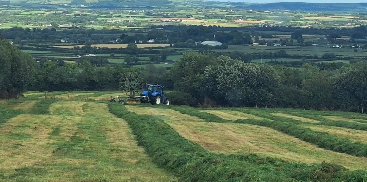 Silage bales - Image 3