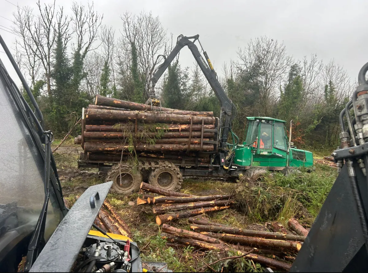 Timber jack 1110D - Image 2