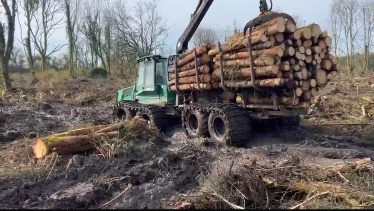 Timber jack 1110D - Image 3