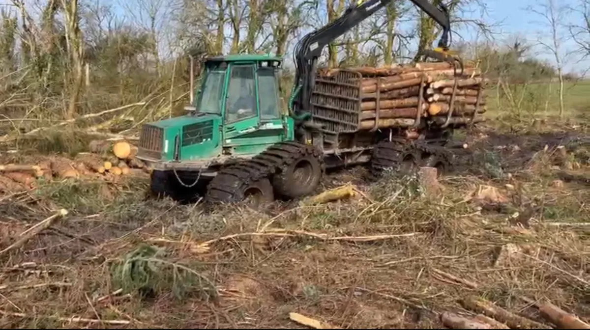 Timber jack 1110D - Image 1