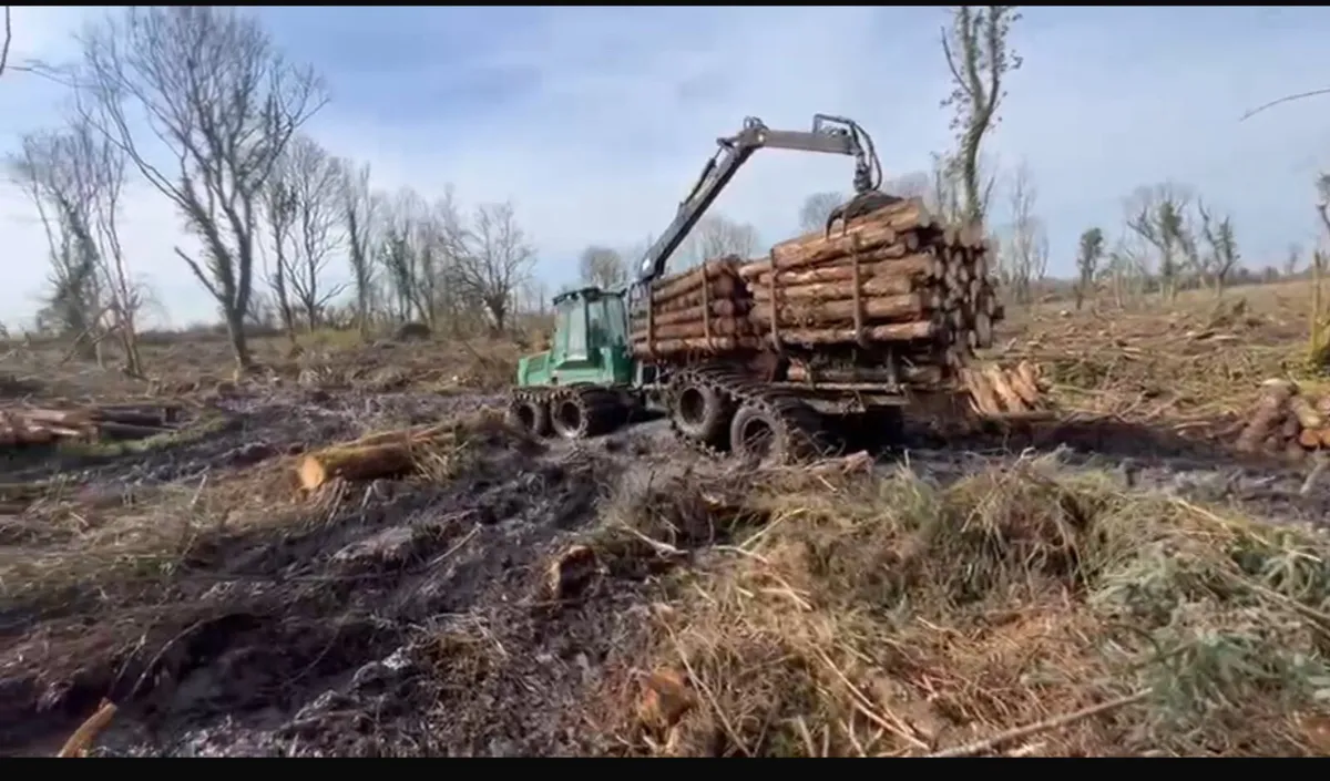 Timber jack 1110D - Image 4