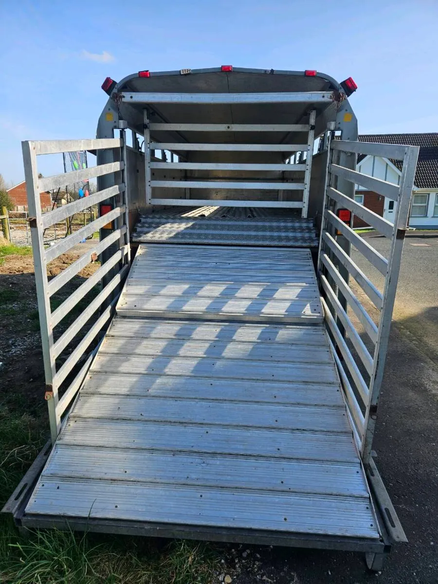 Iforwilliams 12x5 Cattle trailer with Decks - Image 4