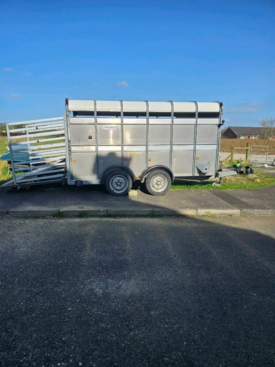 Iforwilliams 12x5 Cattle trailer with Decks - Image 2