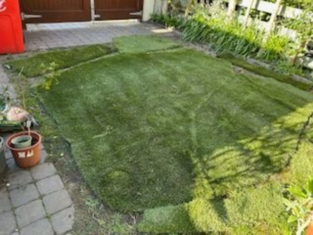 FREE Astro Turf / Artificial Grass - Image 1