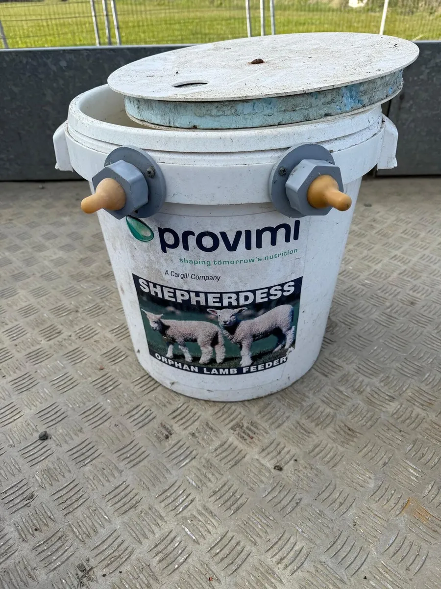 Pet Lamb Milk Bucket - Image 1