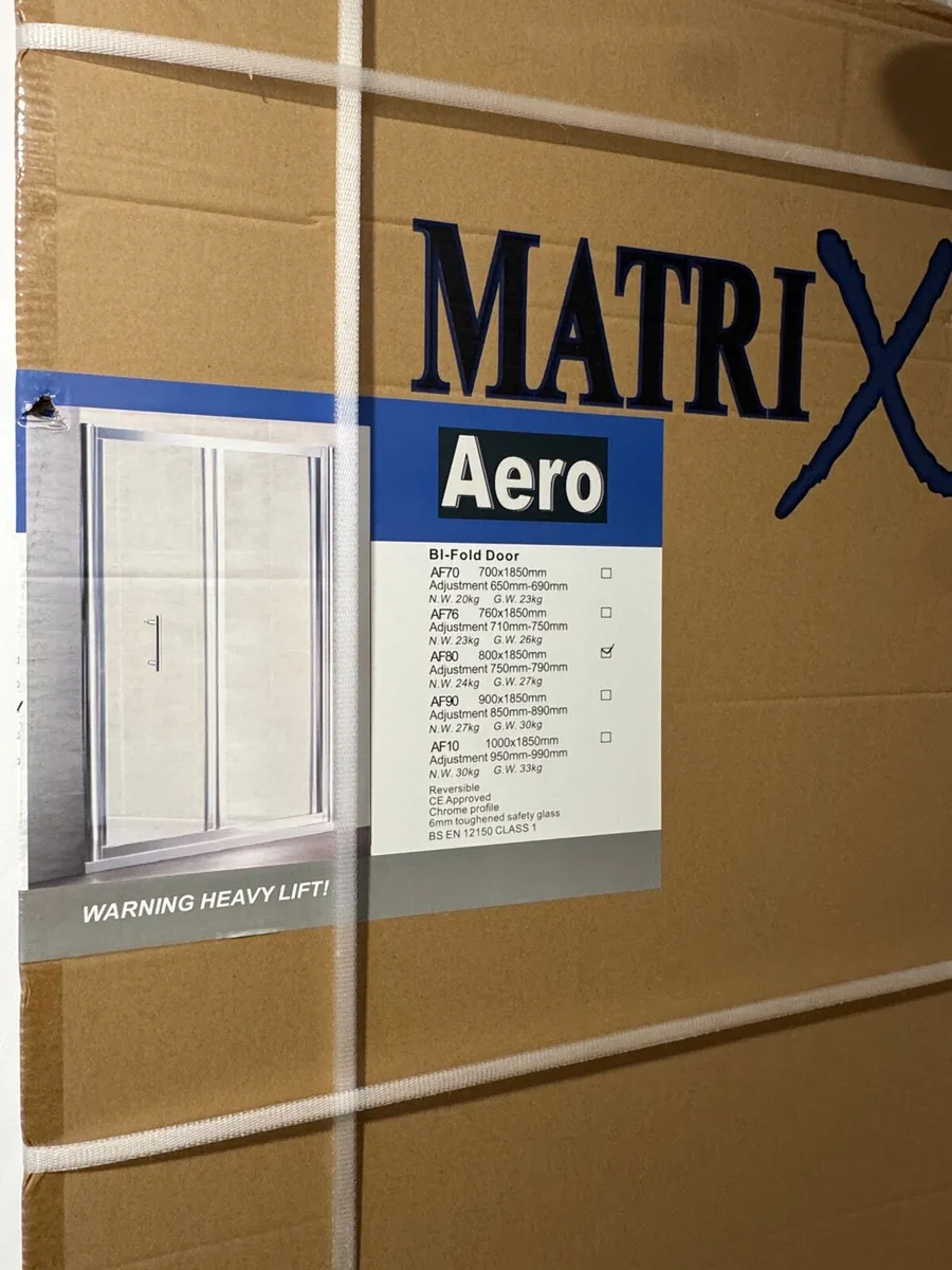 Shower Door - Image 1