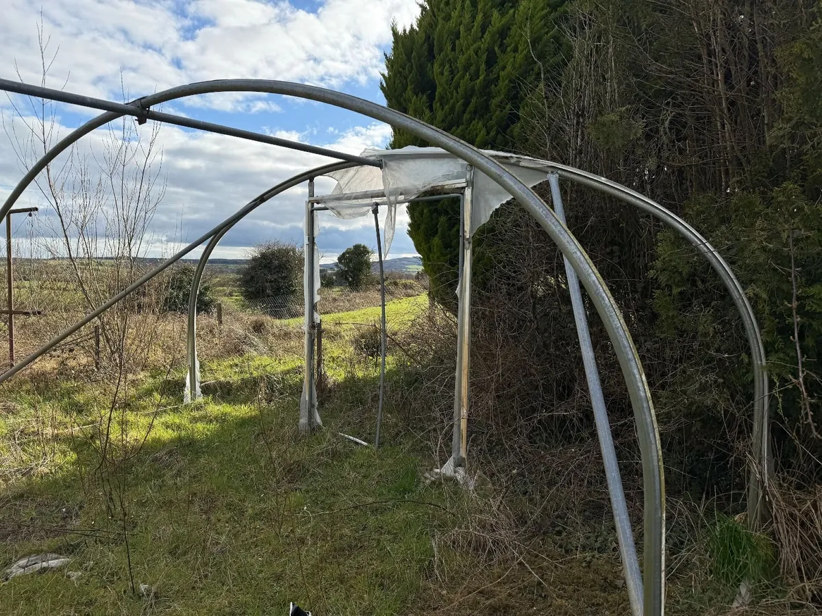 Large Heavy-Duty Polytunnel Frame – 5.5m x 8m - Image 2