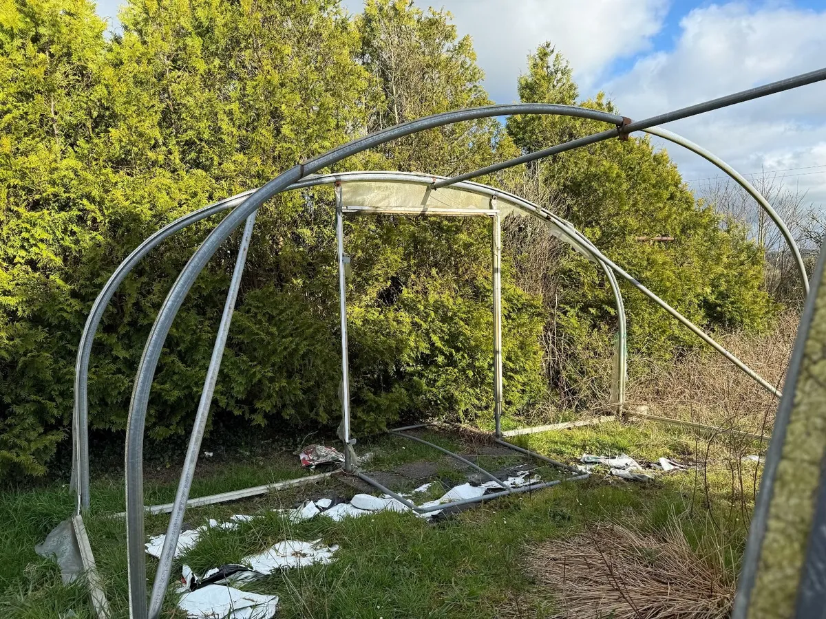 Large Heavy-Duty Polytunnel Frame – 5.5m x 8m - Image 3