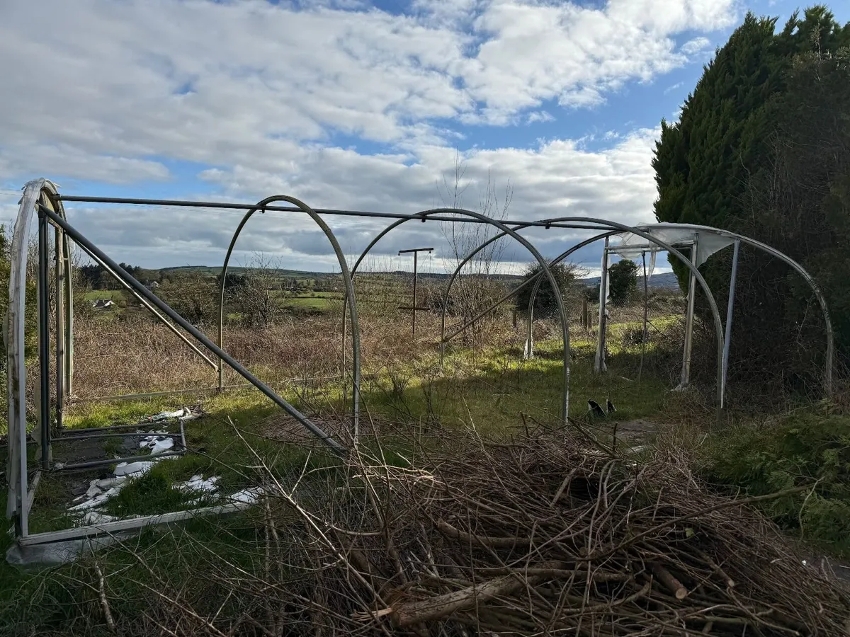 Large Heavy-Duty Polytunnel Frame – 5.5m x 8m - Image 1