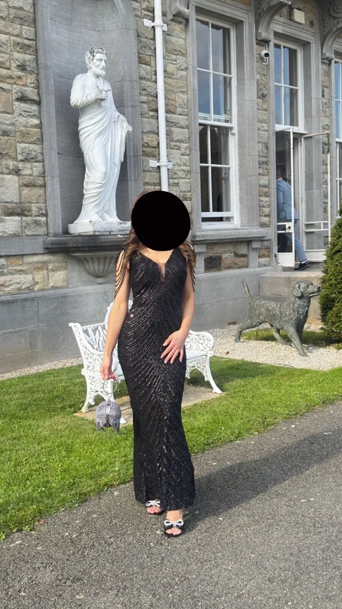 Debs/TY Ball Dress €45 - Image 2