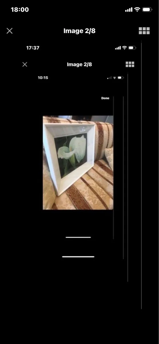 Arum Lily- Original Nicola Lynch Morrin - Image 2