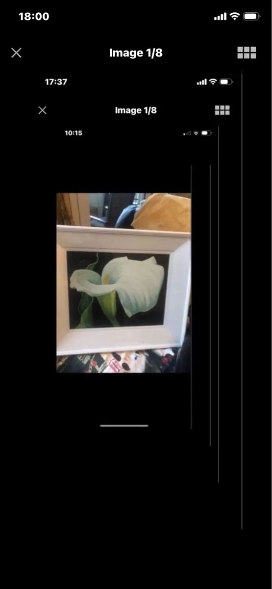 Arum Lily- Original Nicola Lynch Morrin - Image 1