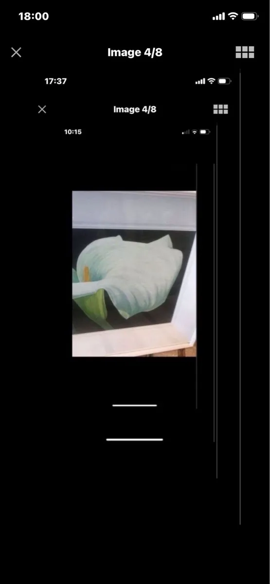 Arum Lily- Original Nicola Lynch Morrin - Image 4