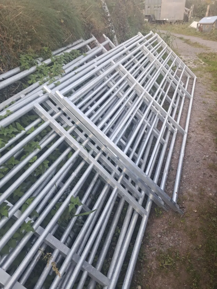 12,14 and 15 foot Good quality  field gates - Image 1
