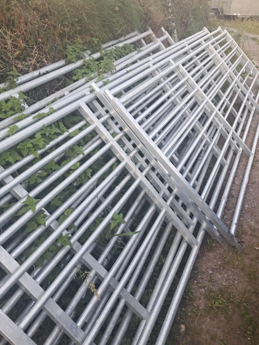 12,14 and 15 foot Good quality  field gates - Image 2
