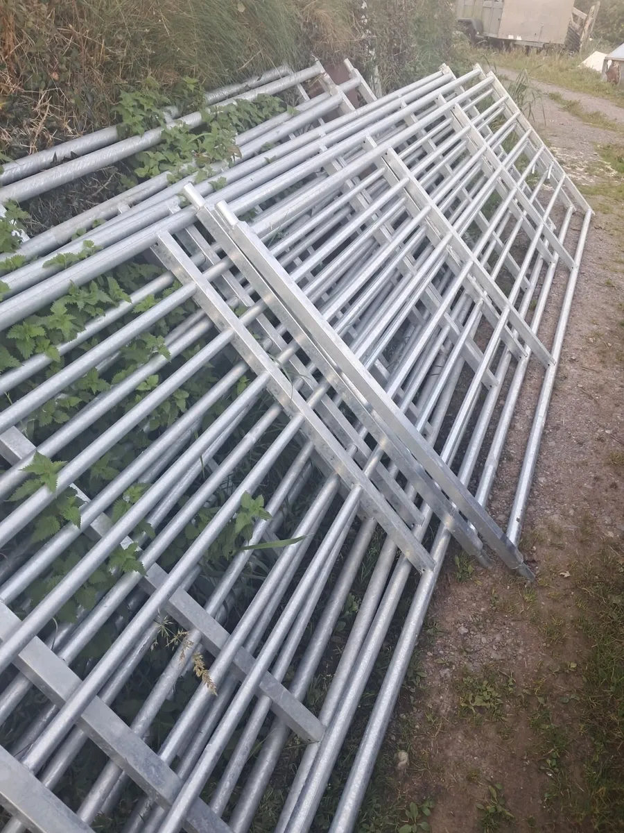 12,14 and 15 foot Good quality  field gates - Image 3