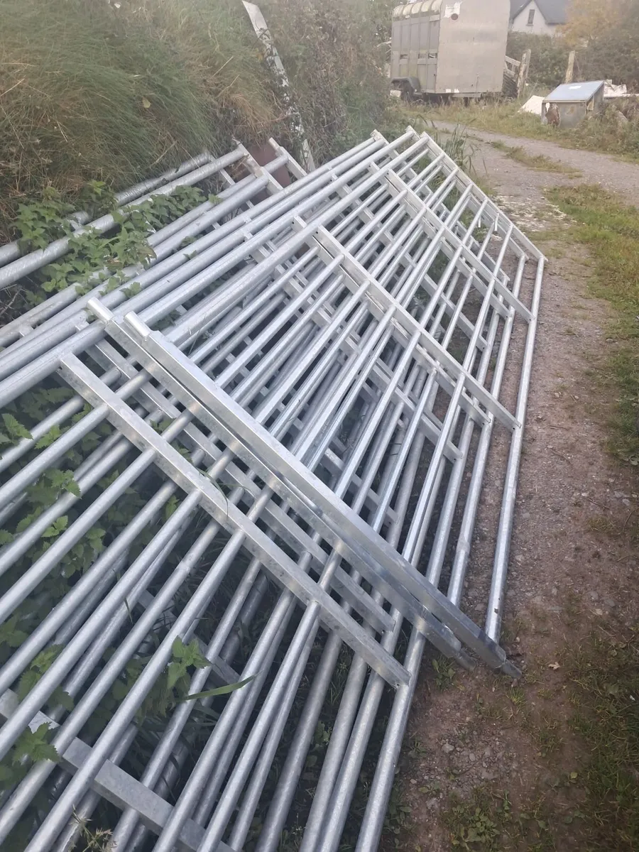 12,14 and 15 foot Good quality  field gates - Image 4