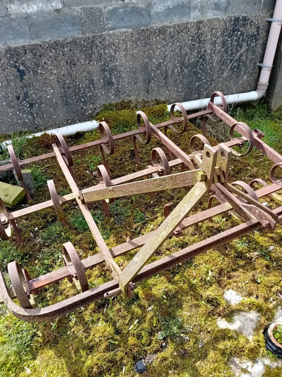 Spring harrow - Image 1