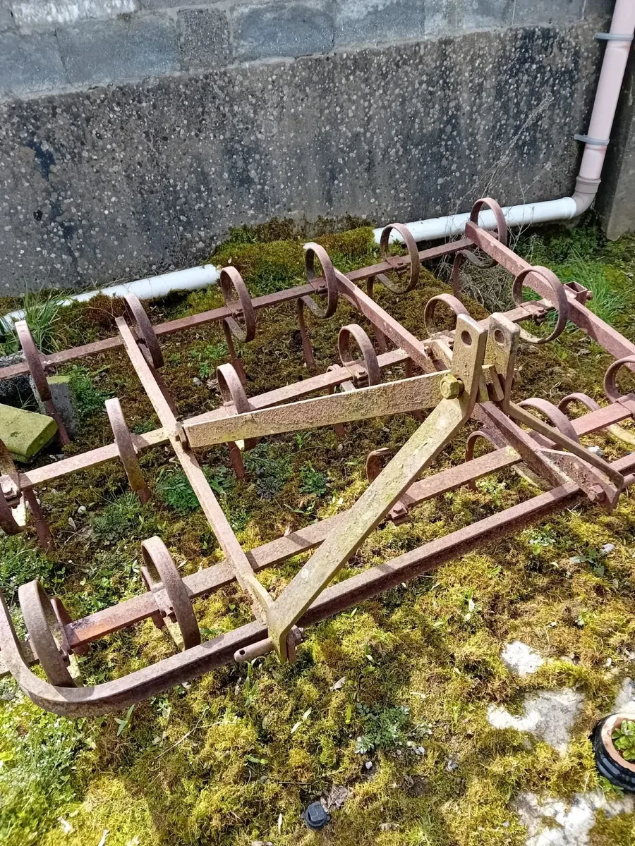 Spring harrow - Image 2