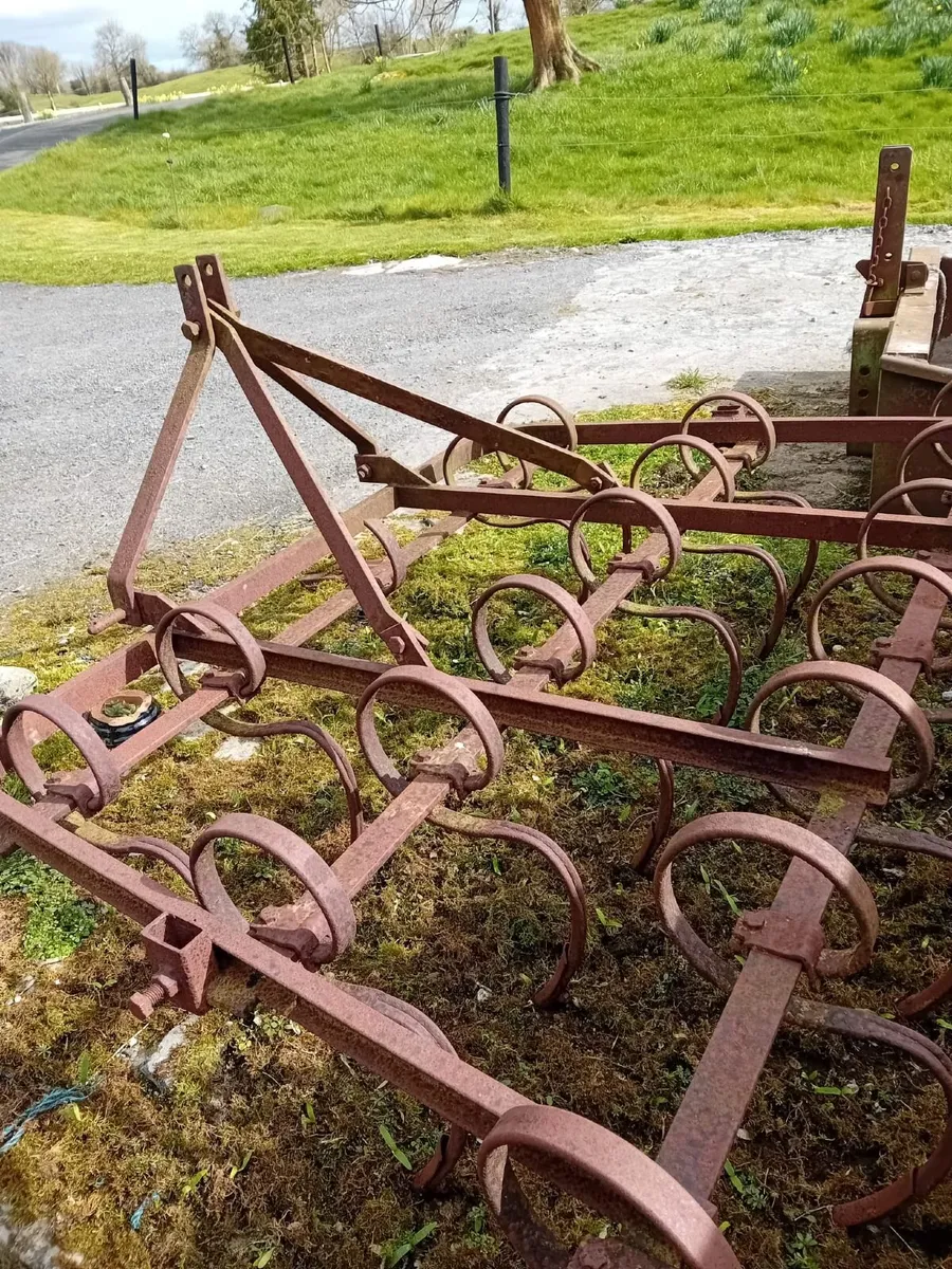Spring harrow - Image 3