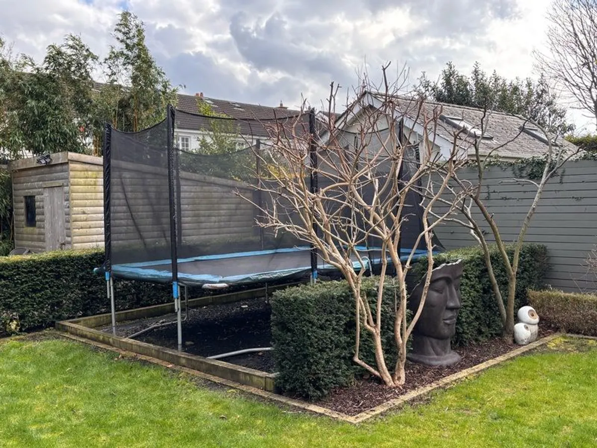 Trampoline - Image 1