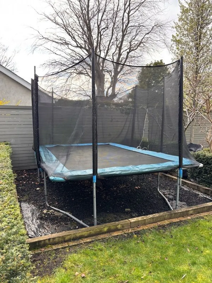 Trampoline - Image 3