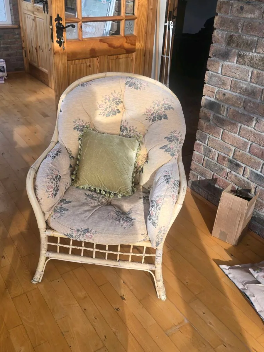 CANE SUITE - Image 2