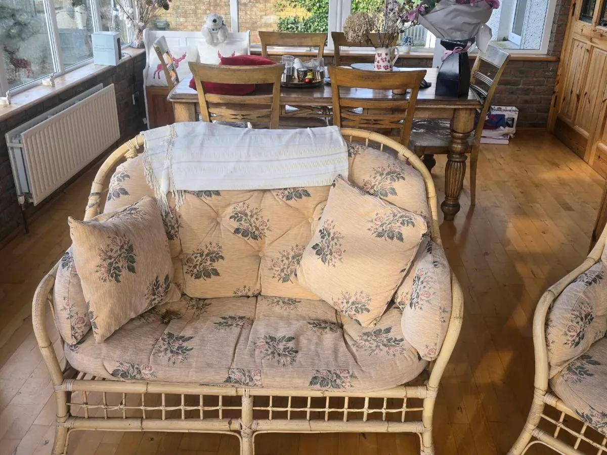 CANE SUITE - Image 1