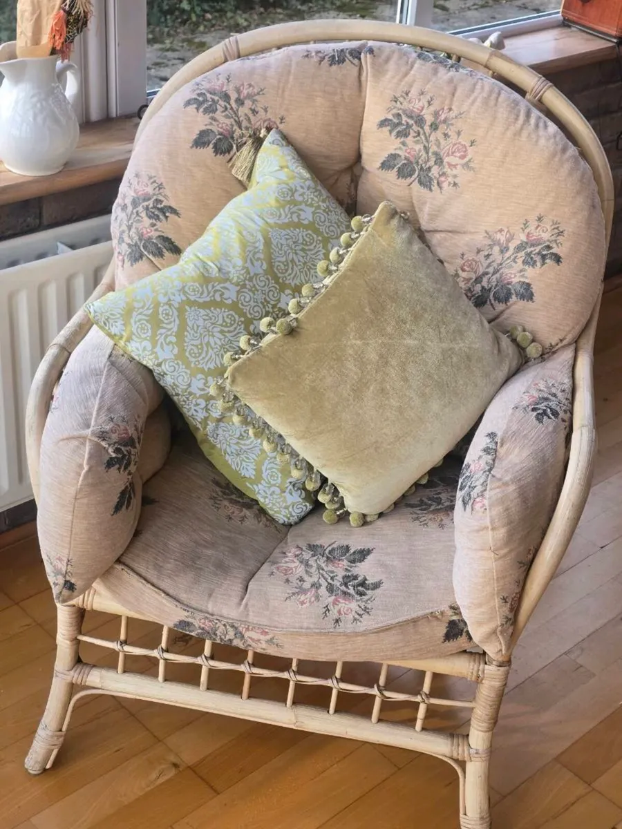 CANE SUITE - Image 4