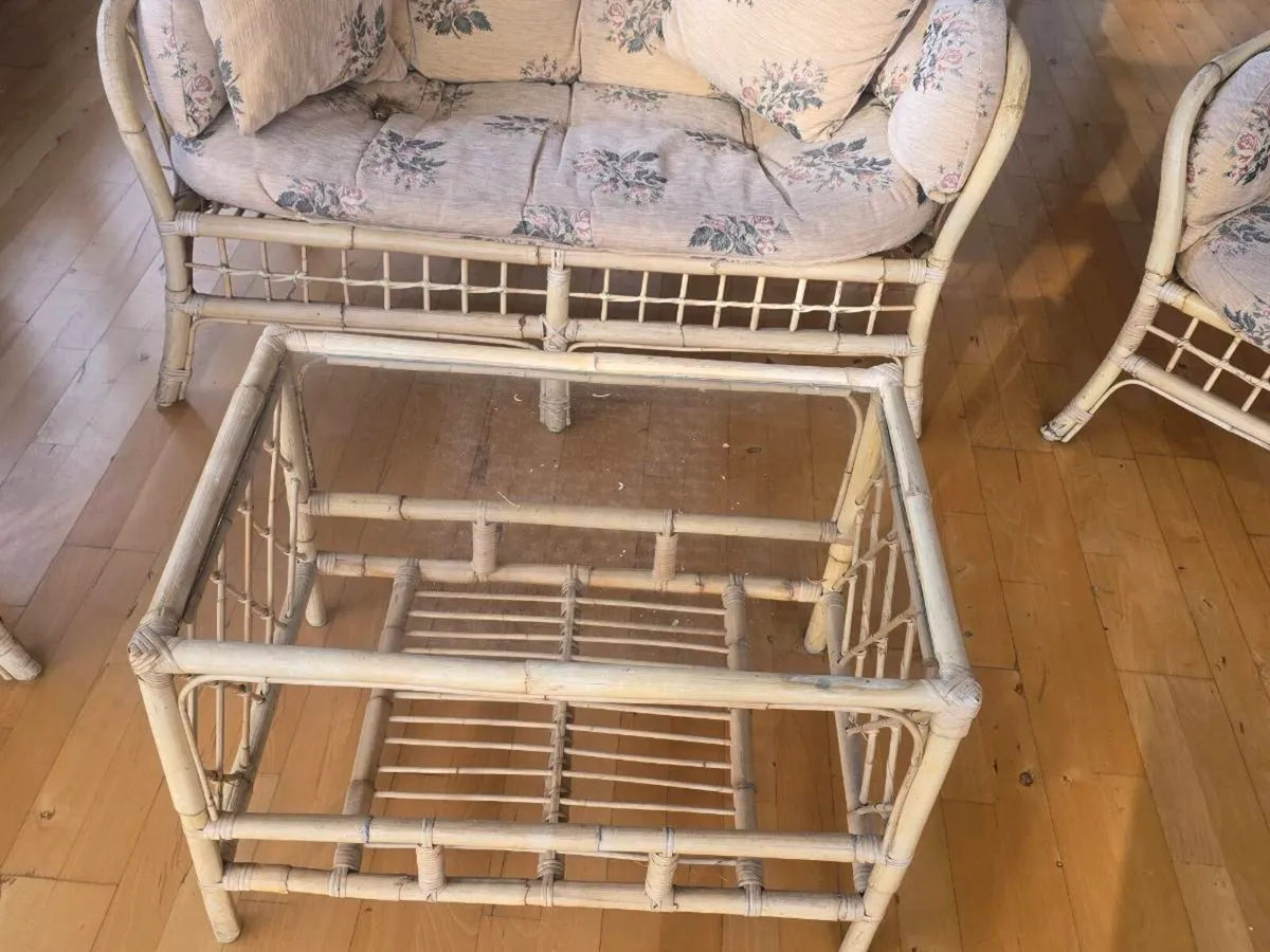 CANE SUITE - Image 3