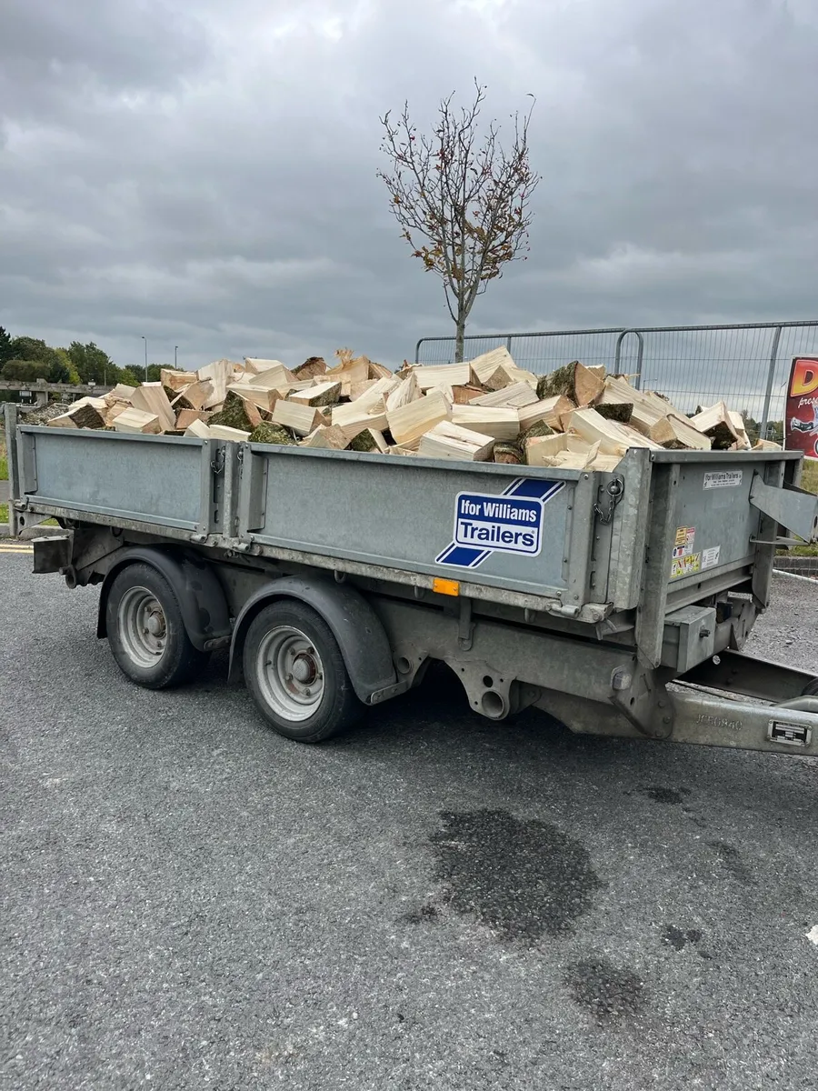 Firewood - Image 1