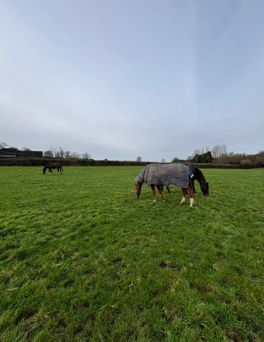 Grass Livery - Image 4