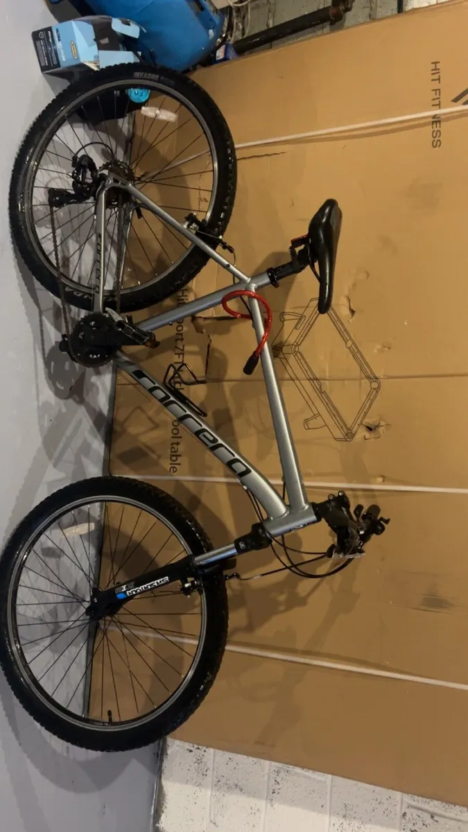 Adult mountain bike - Image 2