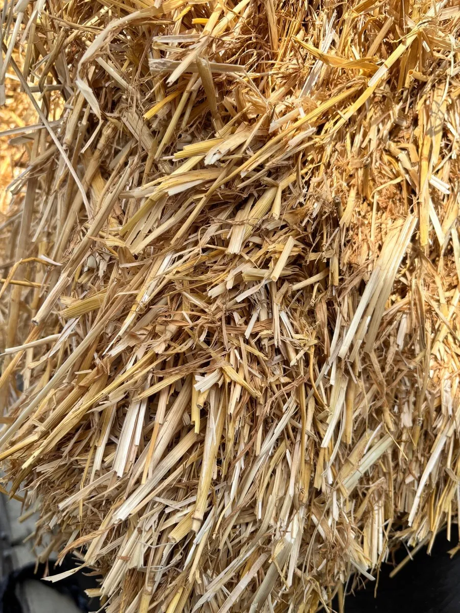 Straw - Image 2