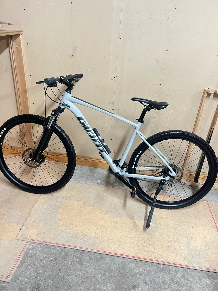 Giant Bike - Image 1