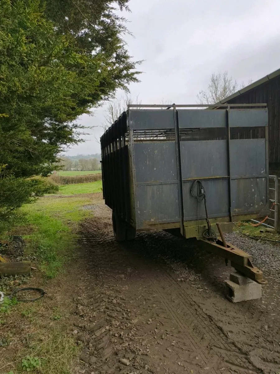 12ft x 8ft cattle trailer - Image 1