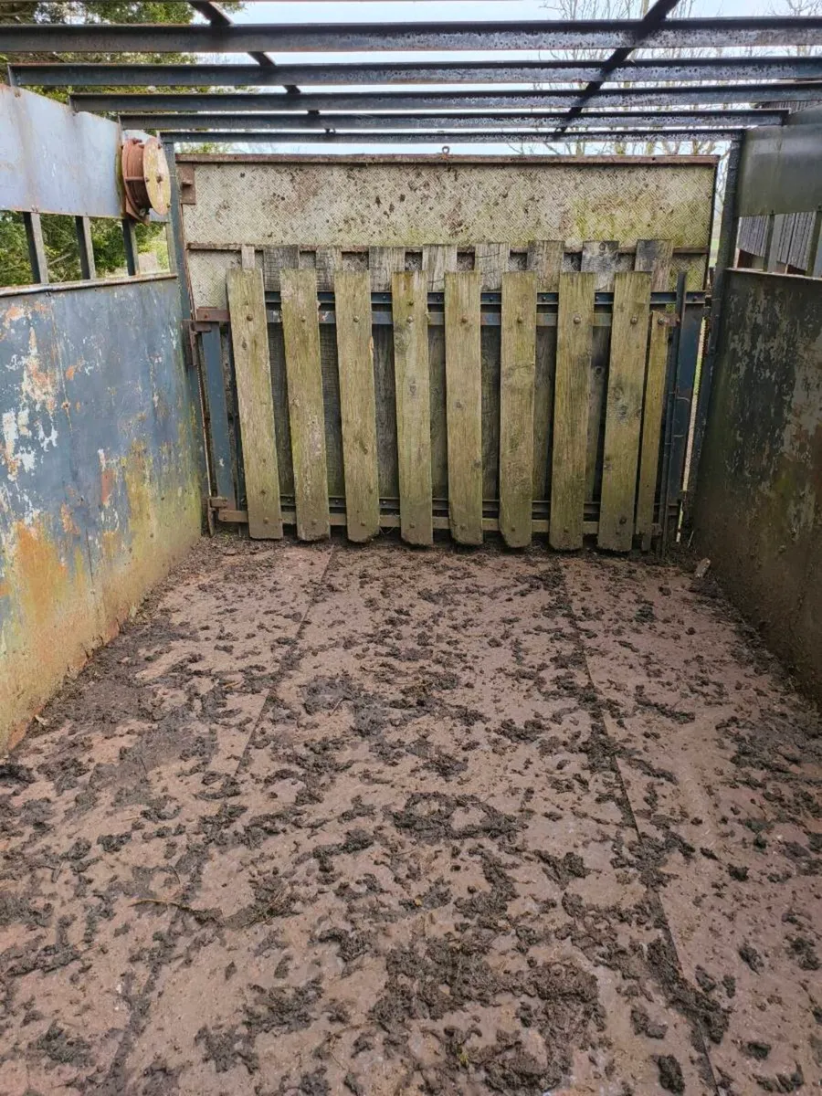 12ft x 8ft cattle trailer - Image 4