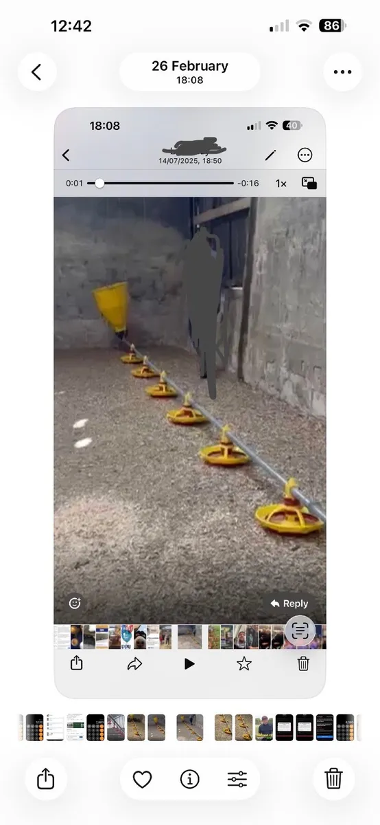 Poultry  feeding equipment - Image 1