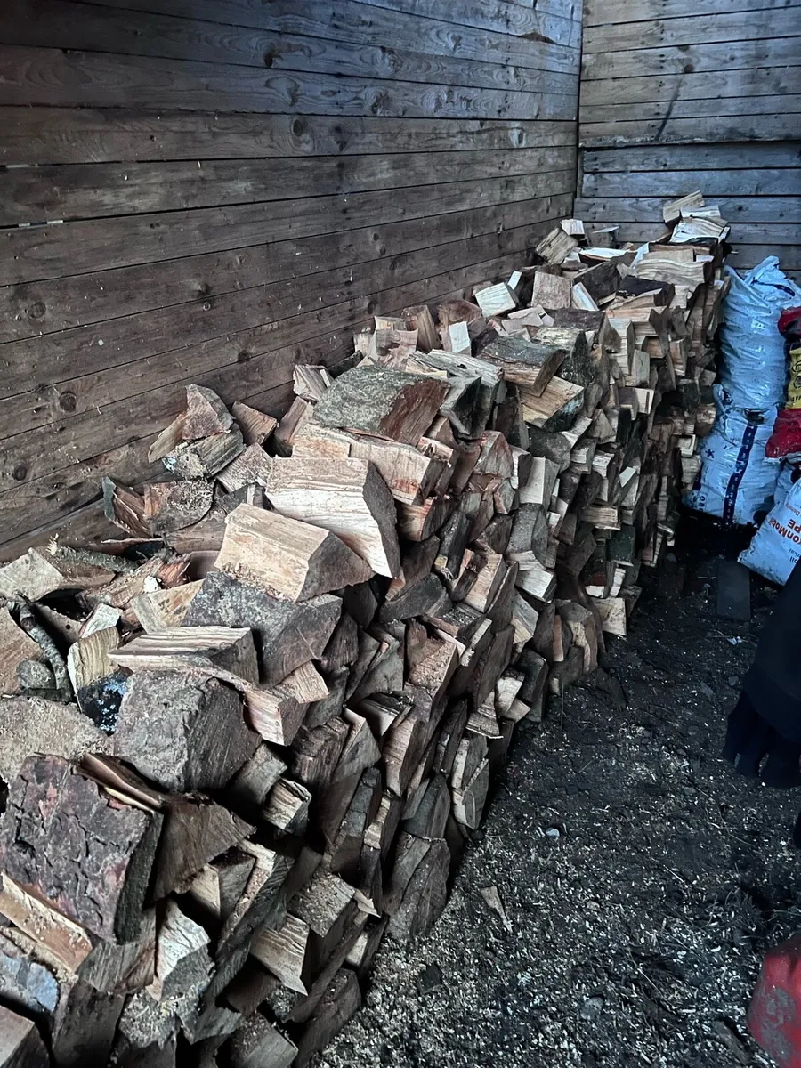 🔥Fire wood - Image 1