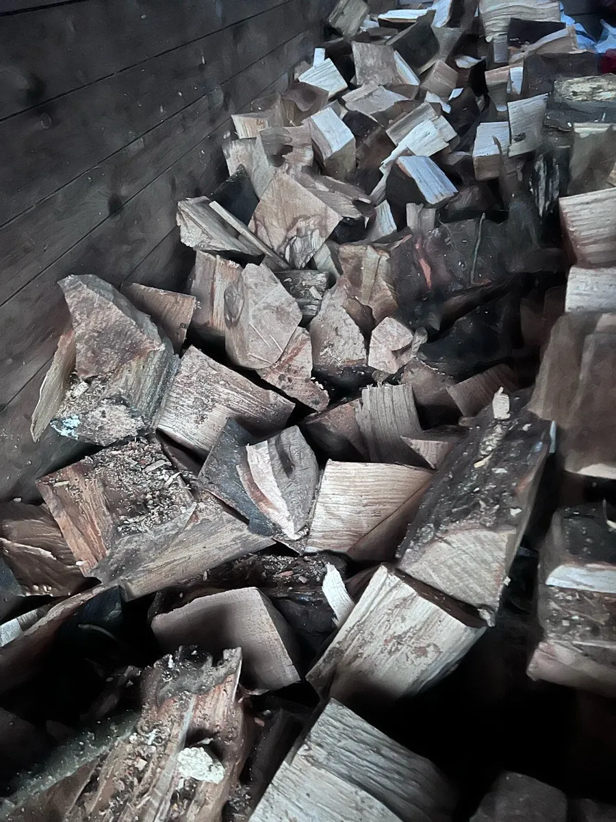 🔥Fire wood - Image 2